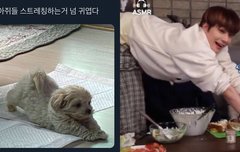 나 진짜 구라 안치고 정우