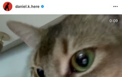 인스타업+유니버스 프로필사진