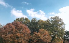 이 사진만 보면 웃겨서 콧물나