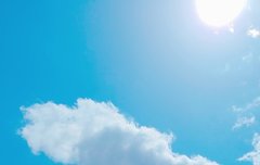 ㅅㄷ)야 날씨 개미침