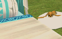 사담)puppy version