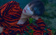 미니앨범 옐로우 컨셉포토2