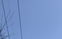 ㅅㄷ 와 날씨봐