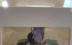 나 이거 밝기 최저로 엄청 대충봐서