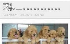 이거 너무 귀여움ㅋㅋㅋㅋ