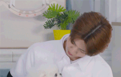 강쥐들 주인이랑 똑닮음