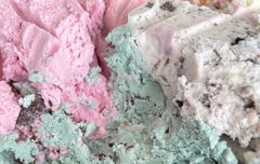 역시 먹짱 고양이