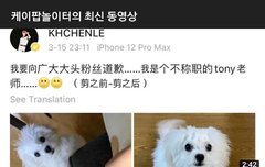 대갈이 동물학대