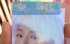 얘들아 개이쁘다