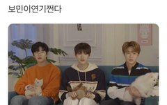 이렇게 뻘하게 웃기는 거 또 있나?