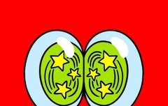 괜찮은 거 맞아?