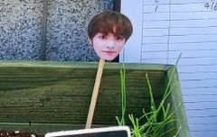 사람들이 성찬이는 주식하지말래