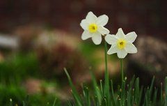 모든걸때려치고싶은 지금...