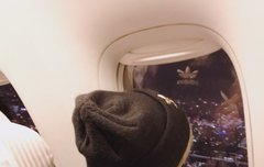 이거 배도치야?