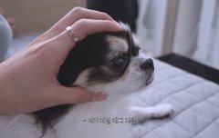 현진이가 까미에게 해주는 말