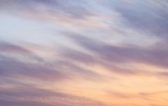 이번 앨범 최애곡 얘기하자