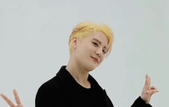 ❗공지추천부탁❗늦덕 미연이들을 위한 정보글⭐