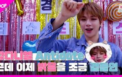 더쇼초이스 자축라이브