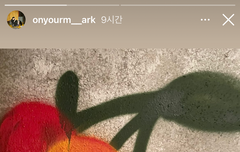 마크 인스 뭐지?ㅋㅋ