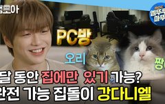 [엠뚜루마뚜루] 나혼자 산다 고양이부터 PC방까지