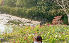 지브리 남주가 따로 없네