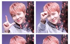 조지노 올해 꼬옥