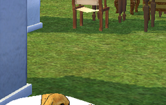 사담)puppy version