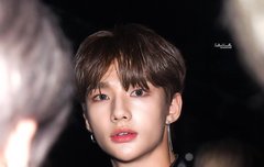 렌즈 눈맞춤하는 짤털이