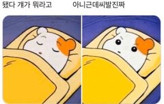 지금 내 심정