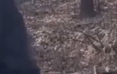 뒤에 그네 타는 멤버