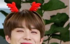 짹 말고 여기 있으면 안 되겠니