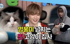 [엠뚜루마뚜루]나혼산 멍뭉미넘치는 고양이집사