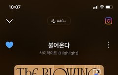 일찍 왔어야했는데!!