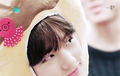 어버이날 짤털이