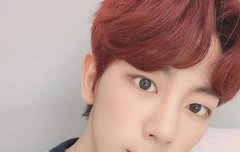 니스들 최애 커버곡은 뭐야??