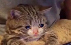 성윤이 오늘 맛난거 먹어