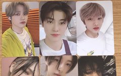 포카 자랑해도돼..?