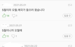 오월애 댓글창봐바