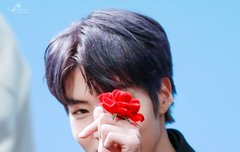 오늘 로즈데이니까