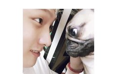 와 이거 기억하는사람