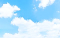 엔터가 우리 애들 얘기로 꽉 찼네