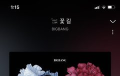 꽃길 하트 수 증가 봐바