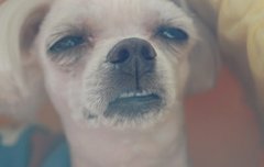 저기가 진짜 사람이 많긴 했구나