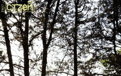 벽초지 새 사진 떴네