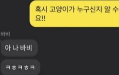 바비 보그 사진 봤어? ㅅㅍㅈㅇ