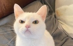 그냥 천러ㅋㅋㅋㅋ