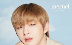 메르넬 뉴사진
