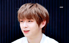 다니티비 Ep.14 골드&실버 플레이 버튼 언박싱