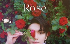 하 미친 대왕장미가 장미 노래 냄? ㅠㅠ