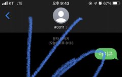 아이콘 투표했당